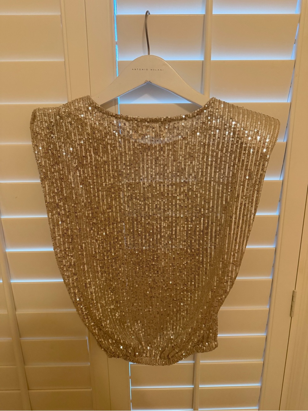 BUCKETLIST Gold Sequin Sleeveless Top - Picture 3 of 3